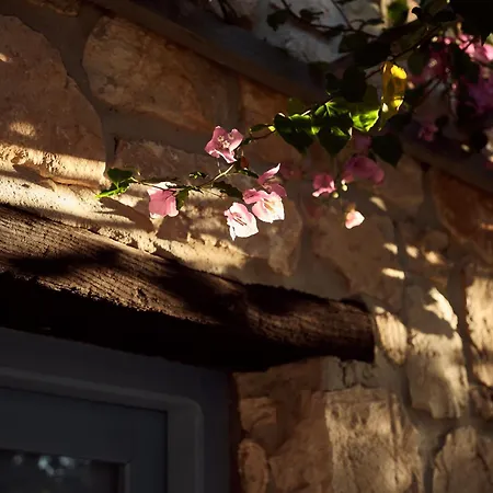 Strofilia Stone Residences Apartment